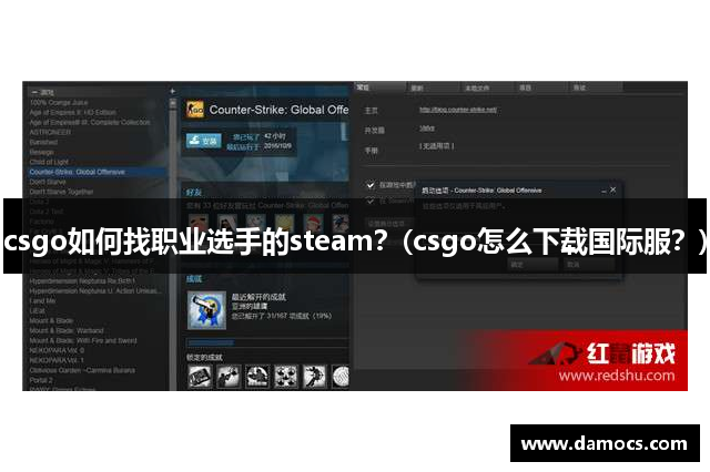 csgo如何找职业选手的steam？(csgo怎么下载国际服？)