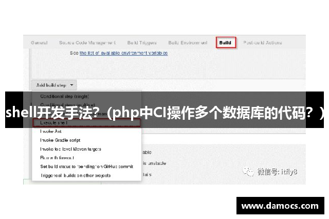 shell开发手法？(php中CI操作多个数据库的代码？)