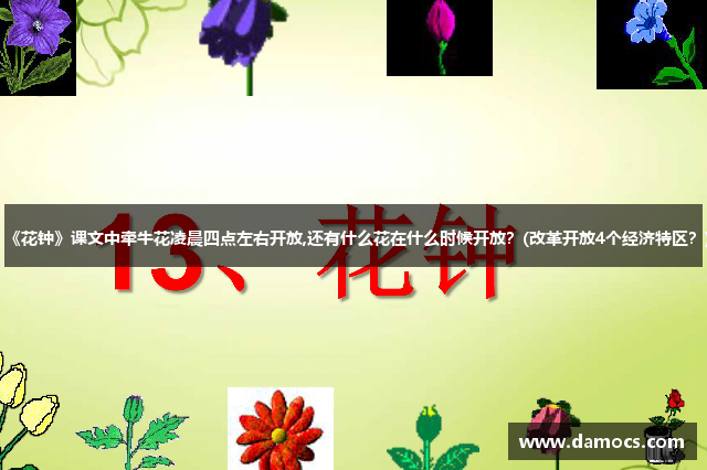 《花钟》课文中牵牛花凌晨四点左右开放,还有什么花在什么时候开放？(改革开放4个经济特区？)